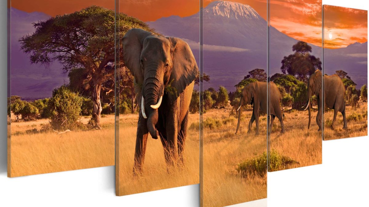 Stampa su tela Elefanti portafortuna - Paesaggi - Etnici e africani - Quadri
